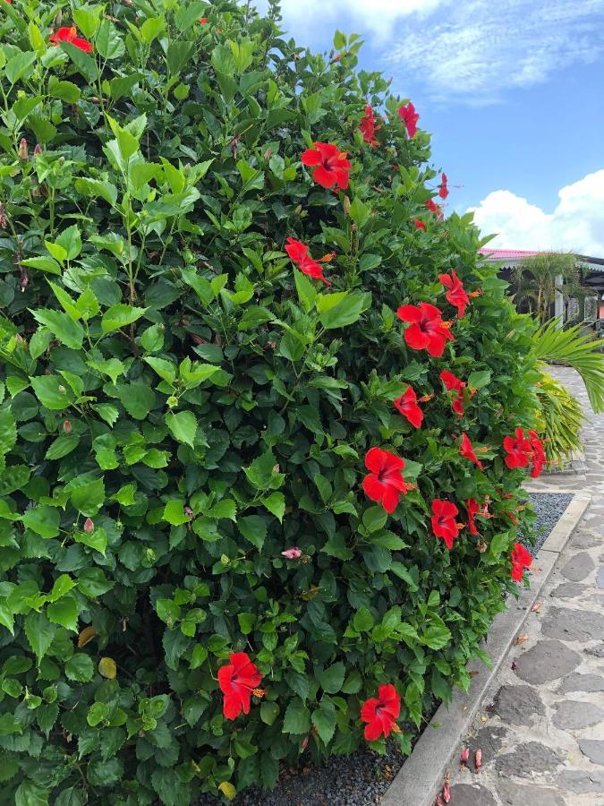 Lovely Apartment In Flic En Flac, Close To The Beach And All Amenities. Ngoại thất bức ảnh